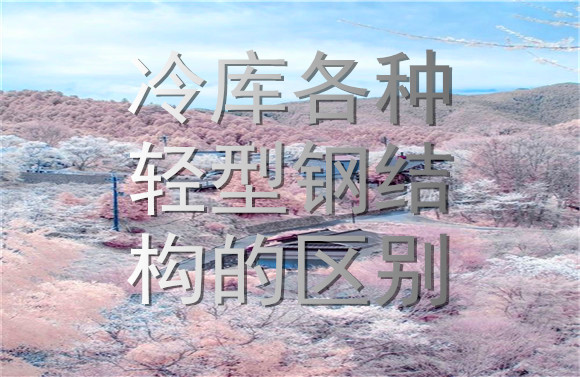 冷庫(kù)各種輕型鋼結(jié)構(gòu)的區(qū)別.jpg