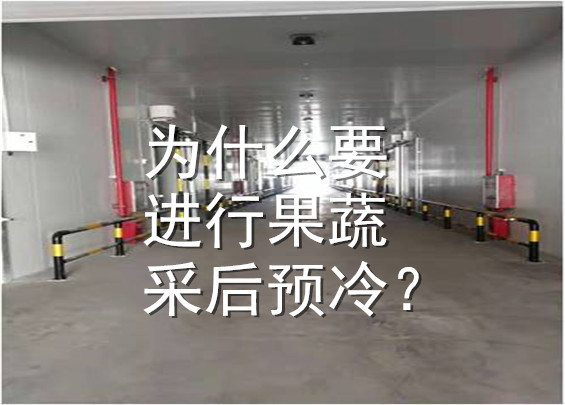 為什么要進(jìn)行果蔬采后預(yù)冷？.jpg
