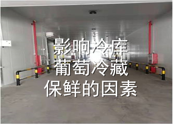 影響冷庫(kù)葡萄冷藏保鮮的因素.jpg